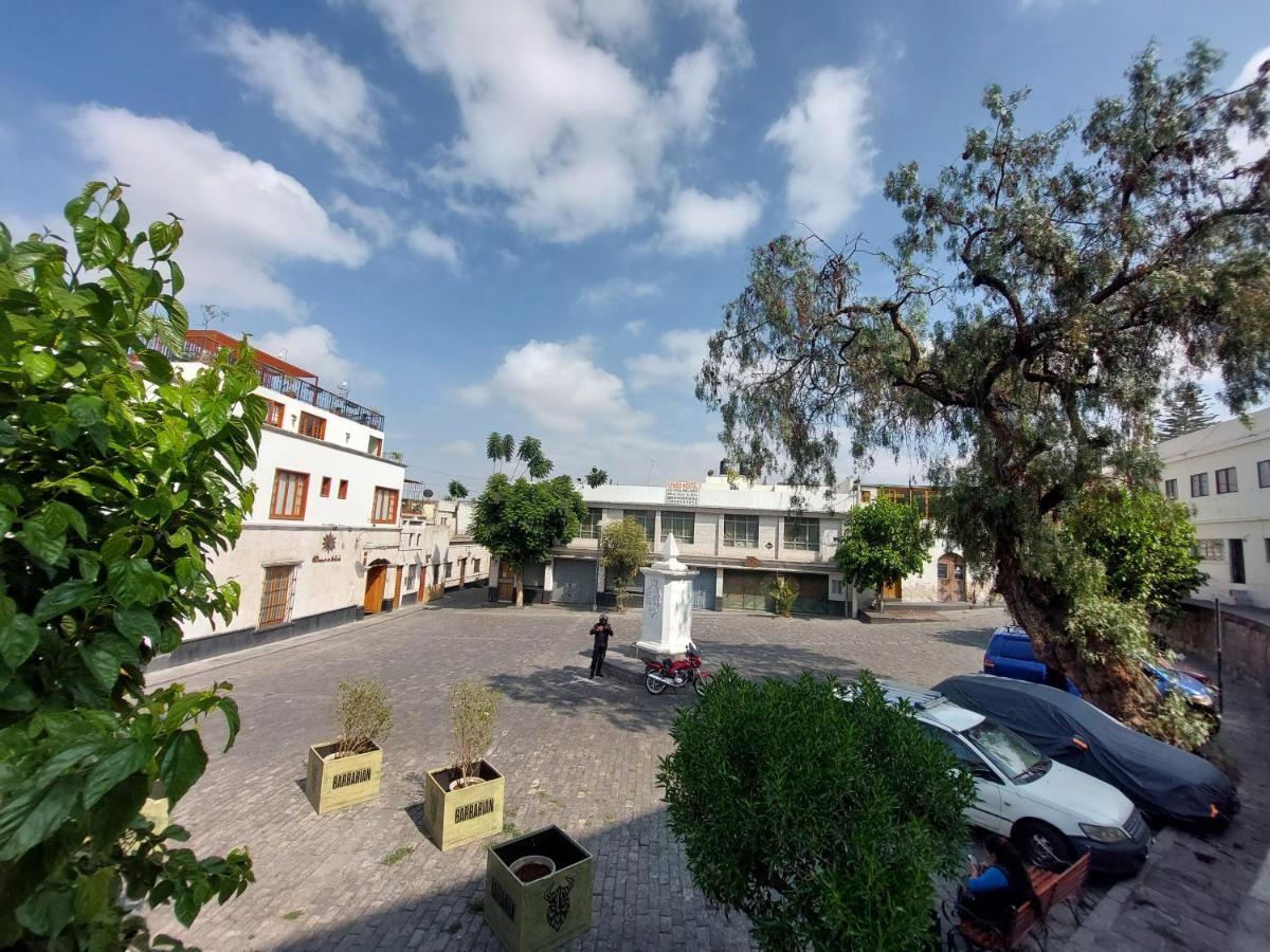 Lonko Hostel ארקוויפה מראה חיצוני תמונה