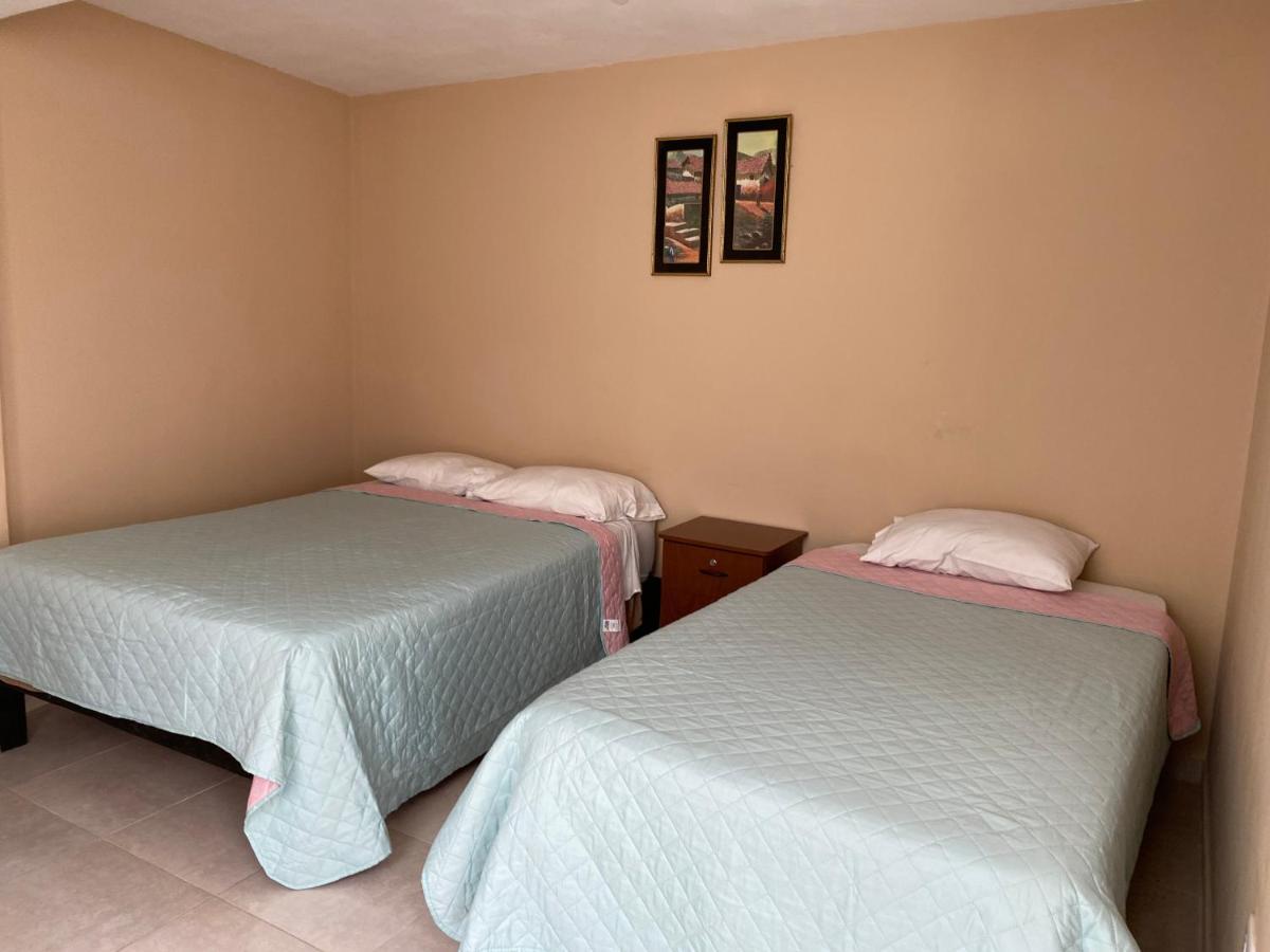 Lonko Hostel ארקוויפה מראה חיצוני תמונה